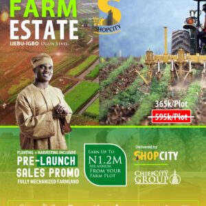 150 sqm Shopcity Farm Hub, 150 Yam Tuber Plot + Planting: Earn 180%+ Yearly