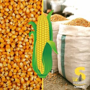 50kg Bag of yellow Maize: Premium Value