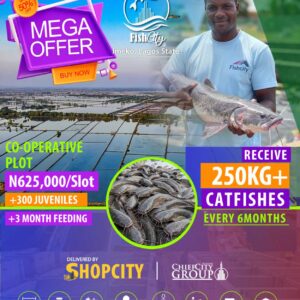 Co-Operativre Plot @Fishcity Farm Estates 250+ Fishes/Cycle Production Pre-Launch Promo, Earn 200%+ Yearly