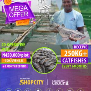 Co-Operativre Plot @Fishcity Farm Estates 400+ Fishes/Cycle Production Pre-Launch Promo, Earn 200%+ Yearly